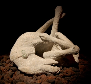 Pompeii victim dog